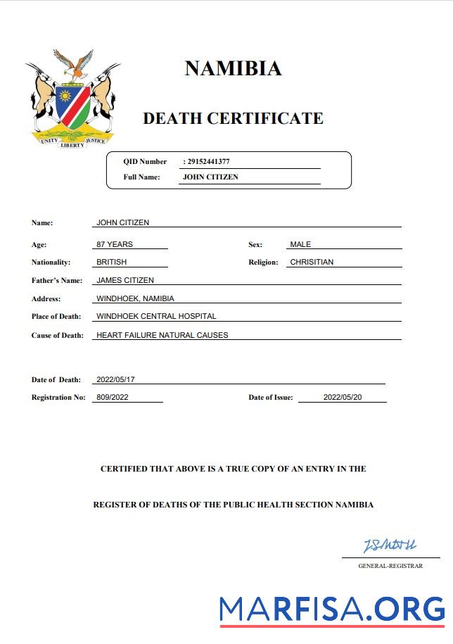 Printable Namibia vital record death certificate Word and PDF template